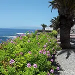 Apartment Janias Alcala (Tenerife)