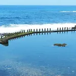 Janias Alcala (Tenerife)